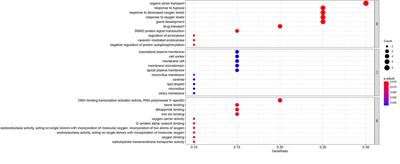 Bioinformatics Analysis Identifies Potential Ferroptosis Key Genes in the Pathogenesis of Pulmonary Fibrosis